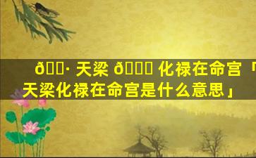 🌷 天梁 🕊 化禄在命宫「天梁化禄在命宫是什么意思」
